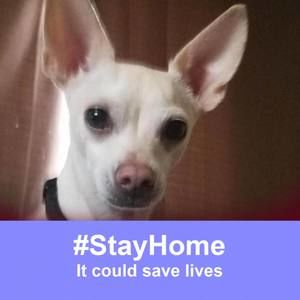 Meet your Posher, Vicki